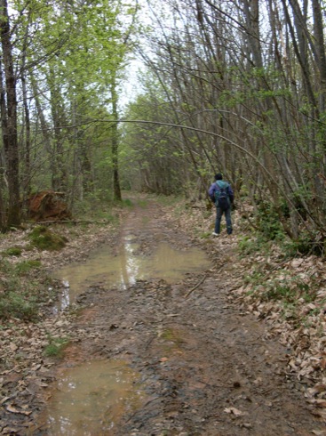 beaucoup d'eau sur le chemin